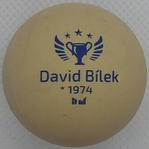 David Bílek 1974