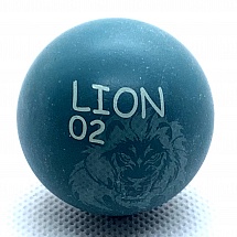 LION 02