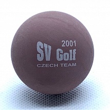 Czech team 2001
