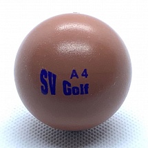 SV Golf A4 2