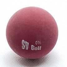 SV Golf  16