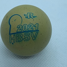 HBSV 2021