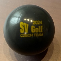 Czech team 2024