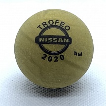 Trofeo Nissan 2020 2