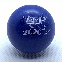 AJMP 2020 2