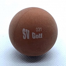 SV Golf 31 nový
