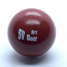 SV Golf B1