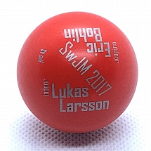 SwJM 2017 Lukas Larsson a Eric Bohlin