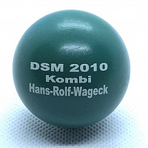 DSM 2010 Kombi Hans-Rolf-Wageck