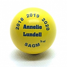 2018  2019  2020 Annelie Lundell SAGM