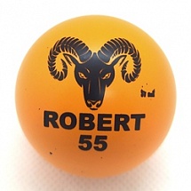 Robert 55